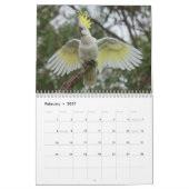 De Amazing Wildlife Animals van Australië Kalender (Feb 2027)
