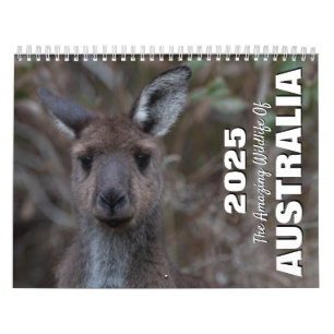 De Amazing Wildlife Animals van Australië Kalender