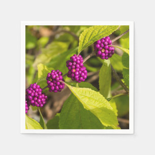 De Amerikaanse Beautyberry Servetten