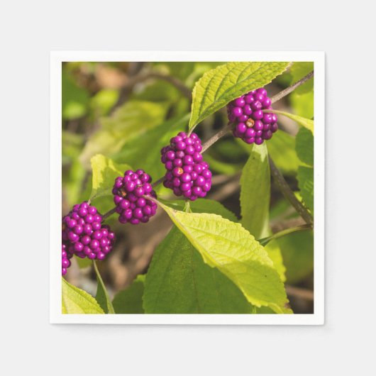 De Amerikaanse Beautyberry Servetten (Voorkant)