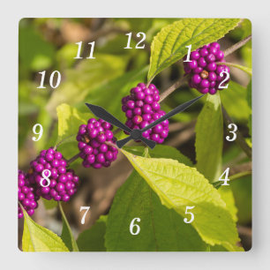 De Amerikaanse Beautyberry wandklok