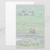 De Amerikaanse Bison Briefpapier (Voorkant / Achterkant)