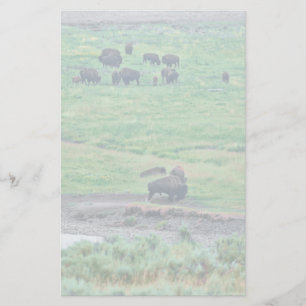 De Amerikaanse Bison Briefpapier