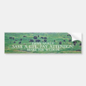 De Amerikaanse Bison Bumpersticker (Voorkant)