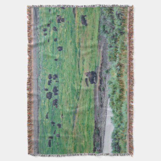 De Amerikaanse Bison Deken (Voorkant Verticaal)