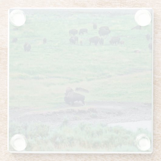 De Amerikaanse Bison Glazen Onderzetter (Achterkant)