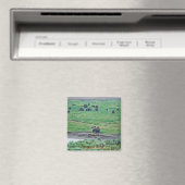 De Amerikaanse Bison Magneet (Insitu (Vaatwasser))