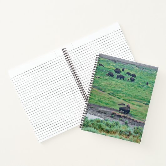 De Amerikaanse Bison Notitieboek (Binnen)