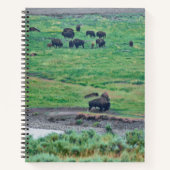 De Amerikaanse Bison Notitieboek (Voorkant)