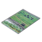 De Amerikaanse Bison Notitieboek (Linkerzijde)