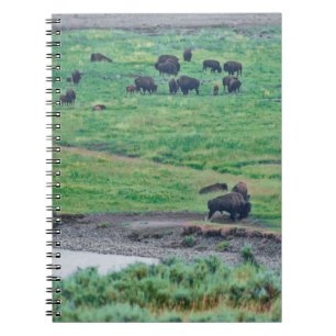 De Amerikaanse Bison Notitieboek