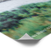 De Amerikaanse Bison Poster (Hoek)