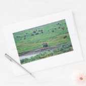 De Amerikaanse Bison Rechthoekige Sticker (Envelop)