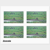 De Amerikaanse Bison Rechthoekige Sticker (Vel)
