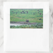 De Amerikaanse Bison Rechthoekige Sticker (Tas)