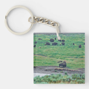 De Amerikaanse Bison Sleutelhanger