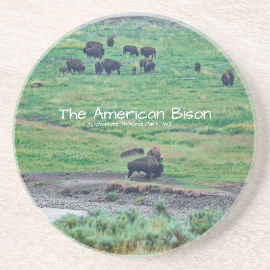 De Amerikaanse Bison Zandsteen Onderzetter (Voorkant)