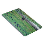 De Amerikaanse Bizon Magneet (Rechterzijde)