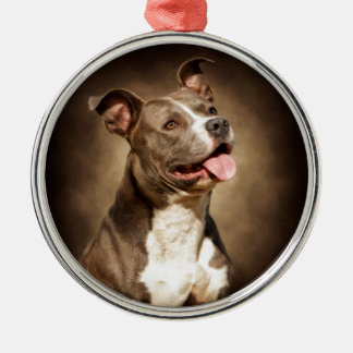 De Amerikaanse Blauwe Pit-Bull Metalen Ornament