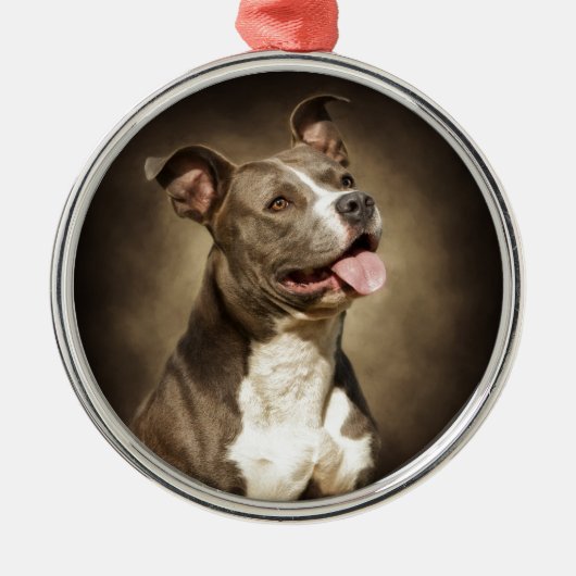 De Amerikaanse Blauwe Pit-Bull Metalen Ornament (Voorkant)