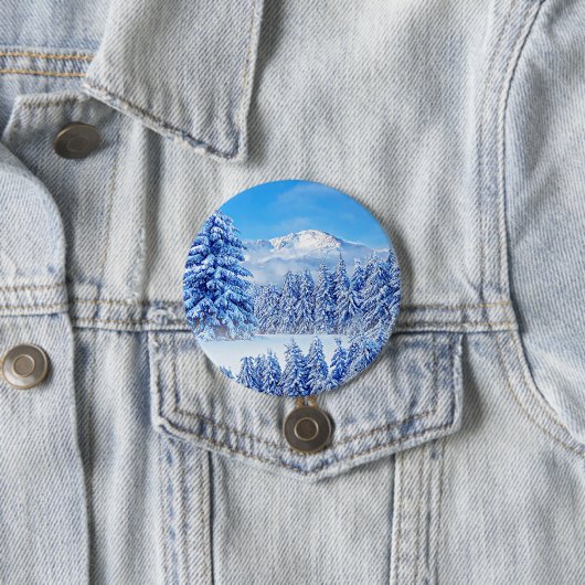 De Amerikaanse Button van de Amerikaanse Sleutelha (In situ)