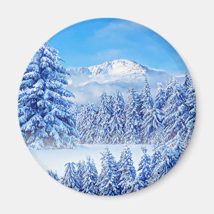 De Amerikaanse Button van de Amerikaanse Sleutelha Magneet