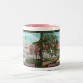 De Amerikaanse Capitol  Coffee Mok (Center)