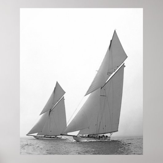 De Amerikaanse Cup Defenders Poster (Voorkant)