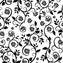 De Amerikaanse droom kussen sterren,