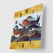 De Amerikaanse eenden van de Smient op een rots Vierkante Klok (Hoek)