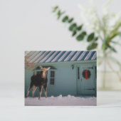 DE AMERIKAANSE ELANDEN VAN KERSTMIS FEESTDAGENKAART (Staand voorkant)