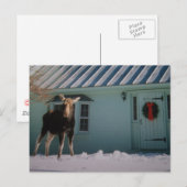 DE AMERIKAANSE ELANDEN VAN KERSTMIS FEESTDAGENKAART (Voorkant / Achterkant)