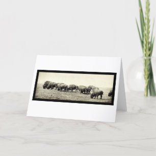 De Amerikaanse Foto 1906 van de Buffels van de Kaart