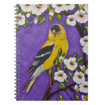 De Amerikaanse Goldfinch