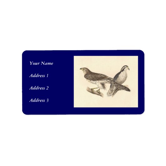 De Amerikaanse Goshawk (Astur atricapillus) Etiket (Voorkant)