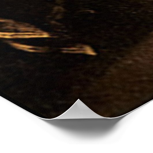 De Amerikaanse grondwet drukt Poster (Hoek)