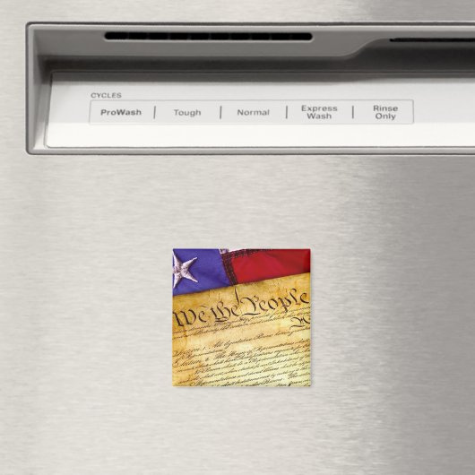 De Amerikaanse grondwet Magneet (Insitu (Vaatwasser))