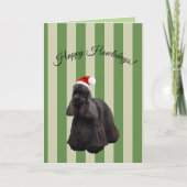 De Amerikaanse Kaart van de Vakantie van de (Voorkant)