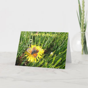 De Amerikaanse kaart van de Vlinder van het Koper