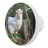 De Amerikaanse kip ziet de rechtermuil Keramische Knop (Rechts)