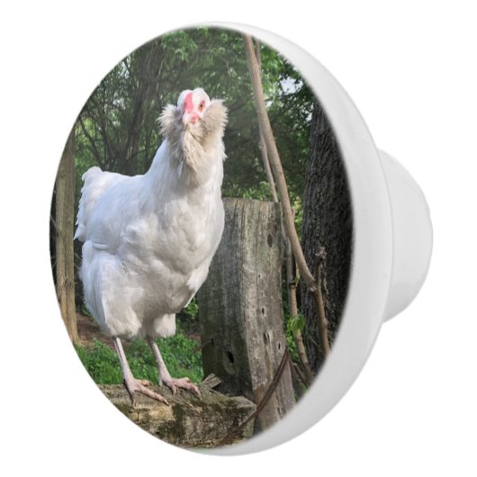 De Amerikaanse kip ziet de rechtermuil Keramische Knop (Rechts)