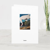 De Amerikaanse Kraan Hooping van Audubon Kaart (Achterkant)