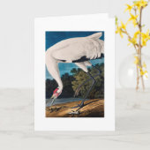 De Amerikaanse Kraan Hooping van Audubon Kaart (Gele Bloem)