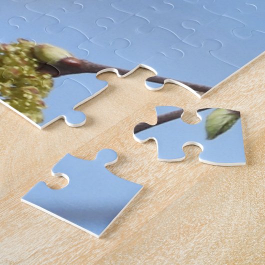 De Amerikaanse Robin heeft een tak met katkins Legpuzzel (Zijkant)