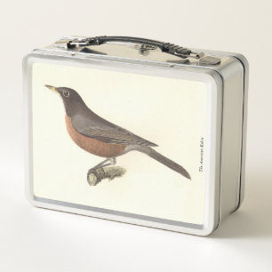 De Amerikaanse Robin (Turdus migratorius) NY Birds