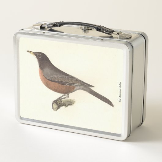De Amerikaanse Robin (Turdus migratorius) NY Birds (Achterkant)