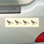De Amerikaanse Robin (Turdus migratorius) NY Birds Bumpersticker (Op auto)