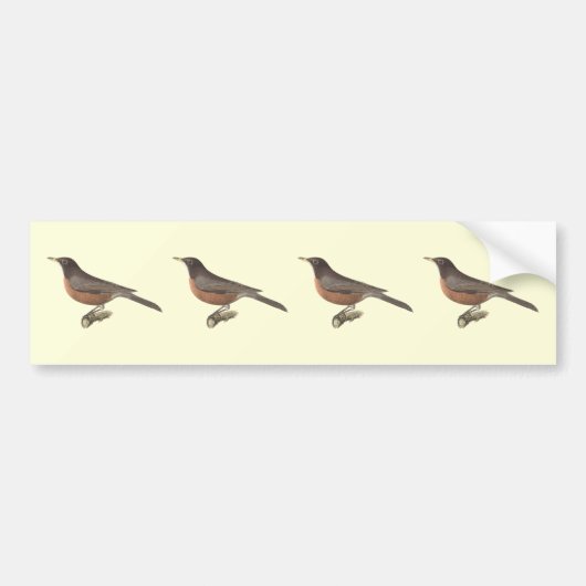 De Amerikaanse Robin (Turdus migratorius) NY Birds Bumpersticker (Voorkant)