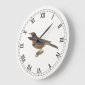 De Amerikaanse Robin (Turdus migratorius) NY Birds Grote Klok (Hoek)