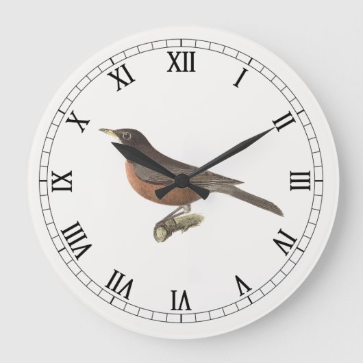 De Amerikaanse Robin (Turdus migratorius) NY Birds Grote Klok (Voorkant)